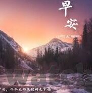 糖心txvlog官网下载入口-糖心，透视生活的甜美碎片